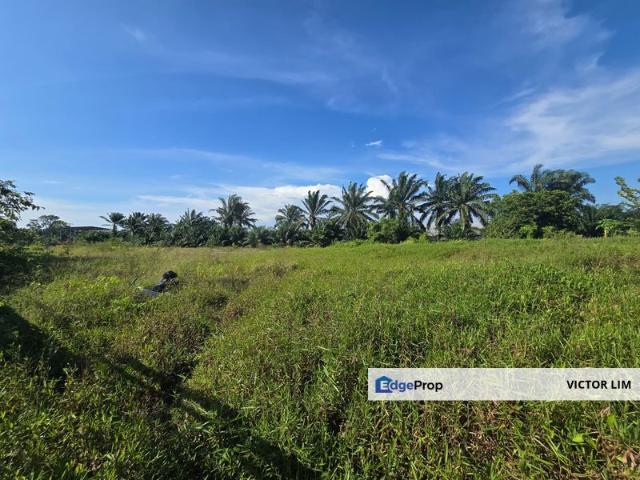 Pekan Nanas 4 Acres Land