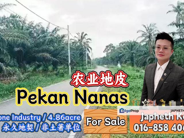 Pekan Nanas