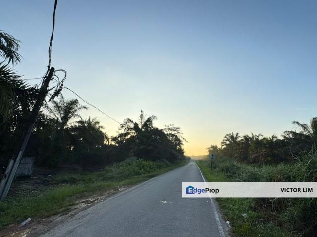 Pekan Nanas 5.28 Acres Land