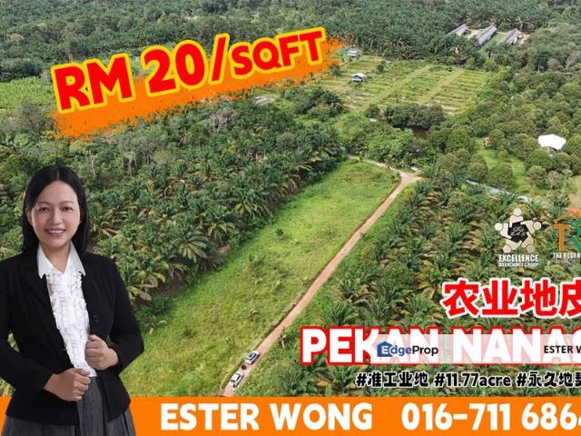 Pekan Nanas