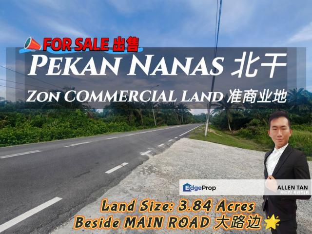 Pekan Nanas
