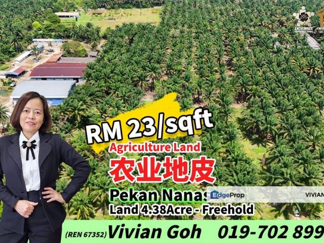 Pekan Nanas