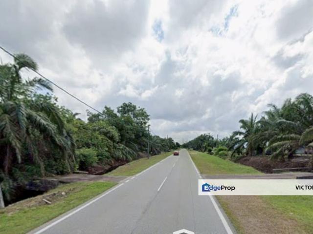 Pekan Nanas 7 Acres Land