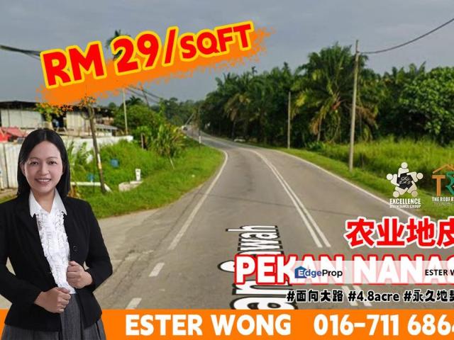 Pekan Nanas