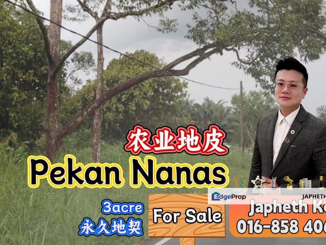 Pekan Nanas