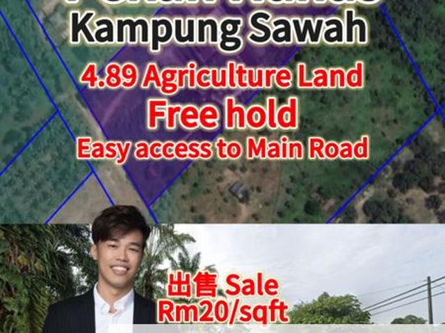 Pekan Nanas