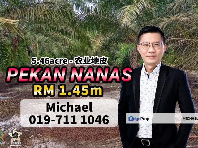 Pekan Nanas