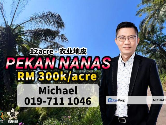 Pekan Nanas