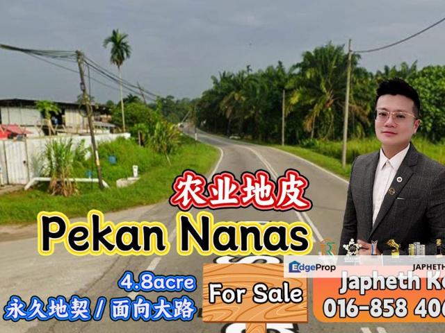 Pekan Nanas