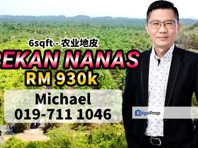 Pekan Nanas