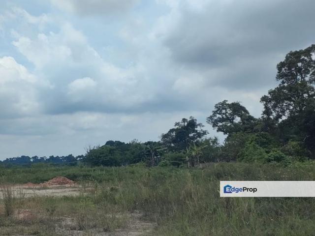 Pekan Nanas, Industrial Land For