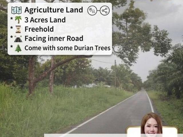 Pekan Nanas Industrial