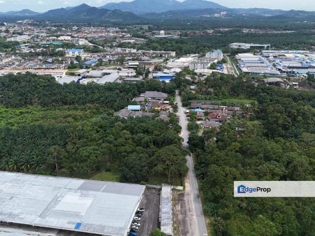 Pekan Nanas Industrial
