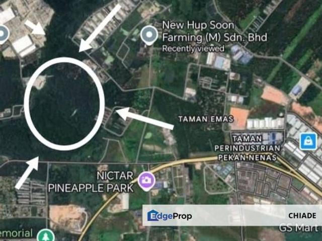 Pekan Nanas Industrial