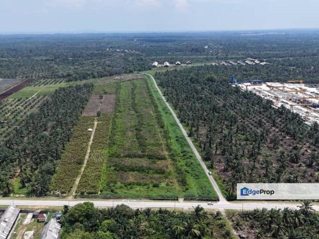 Pekan Nanas Industrial