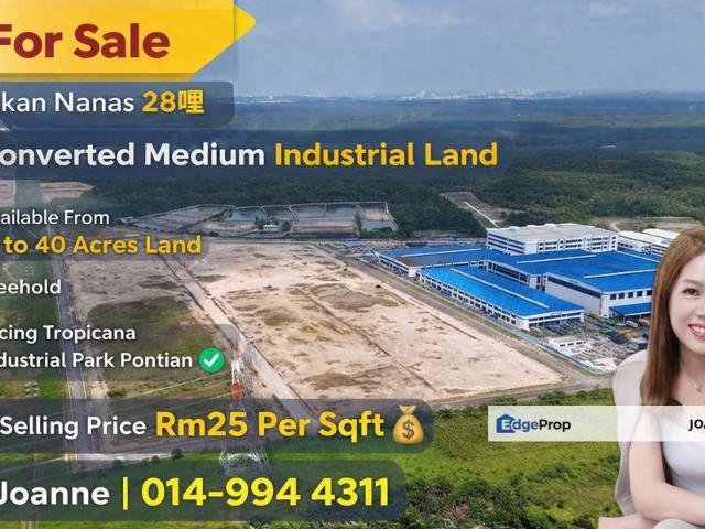 Pekan Nanas Industrial
