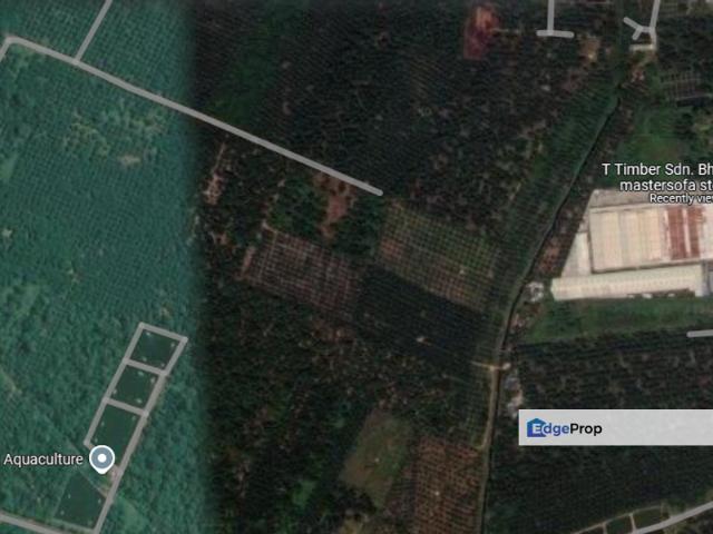 Pekan Nanas Industrial