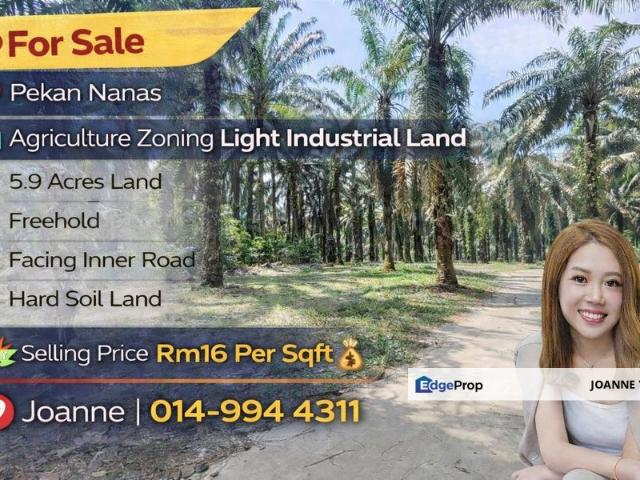 Pekan Nanas Industrial