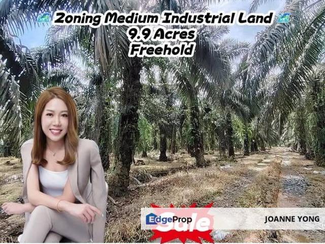 Pekan Nanas Industrial