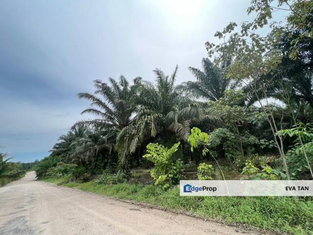 Pekan Nanas Industrial