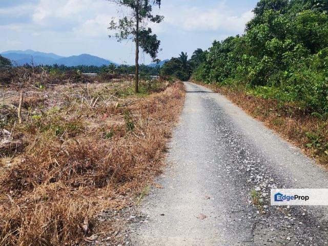 PEKAN NANAS LAND FOR TOWN AREA EASY ACCESS BY ROAD