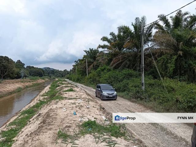 PEKAN NENAS