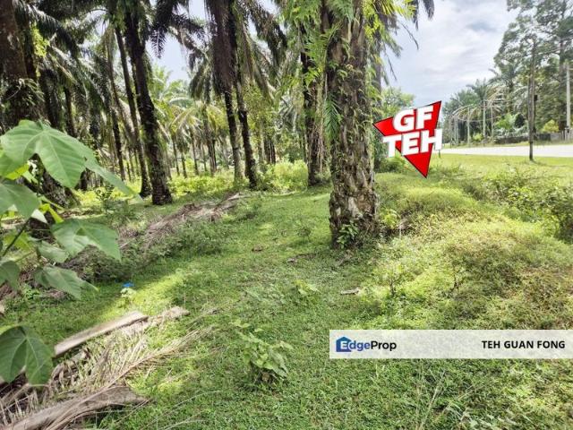Pekan Selama