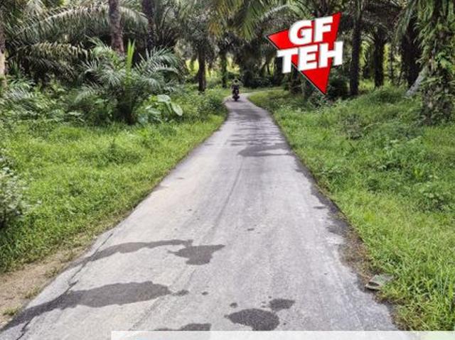 PEKAN SERDANG