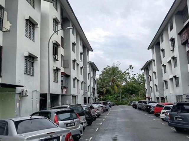 Pelanduk Taman Scientex