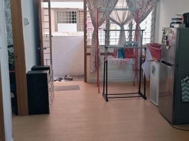 Pelangi Ara