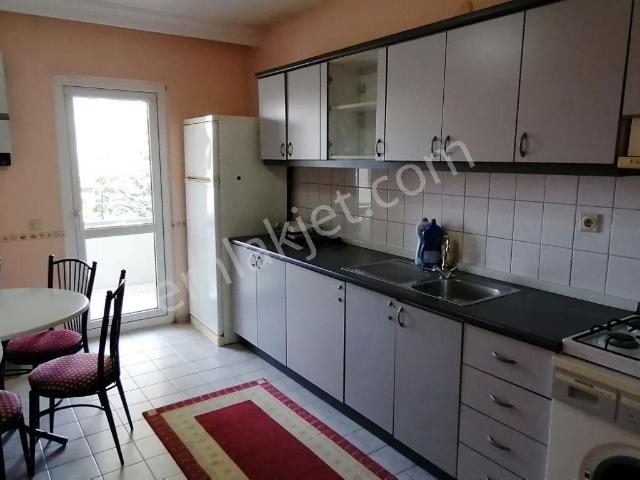 Pelitkey Toki Kiralık 3+1 Daire