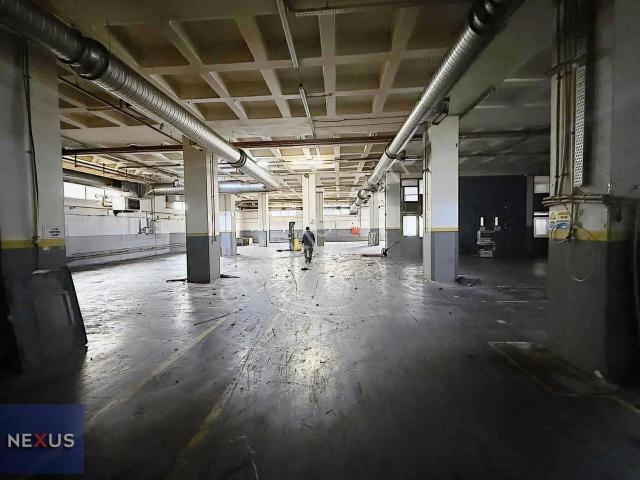 Pelitli Yere Basar 5000 M2 İş Yeri