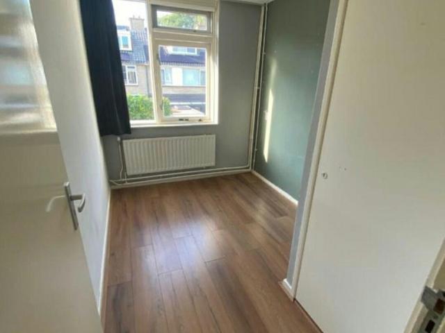 Pelléaspad, Amersfoort