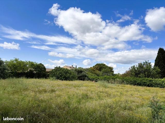 Pépieux Vente Terrain 11