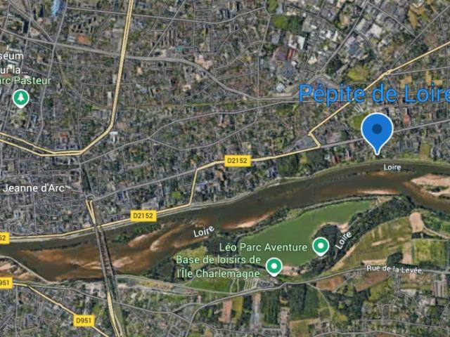 PÉPITE DE LOIRE 45800