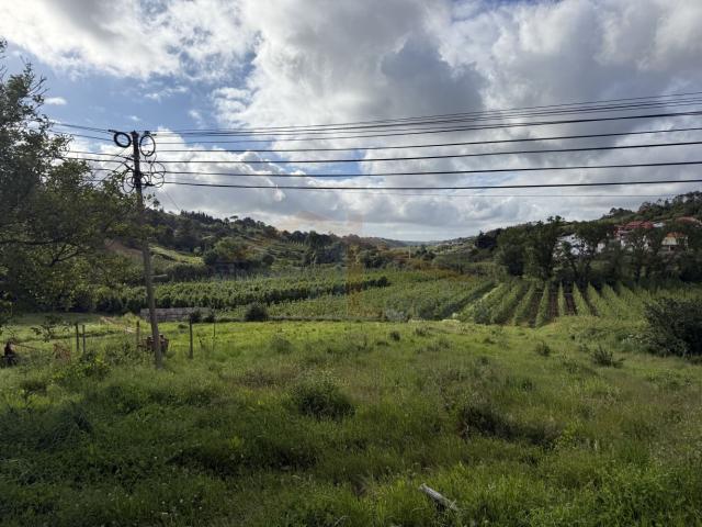 Pequena Moradia para reconstrução e Terreno urbano Vidais