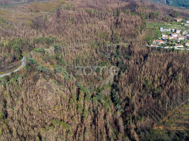 Pequena fazenda para restaurar perto das Passarelas Paiva – Nespereira