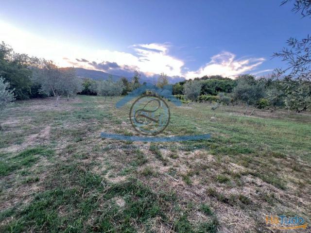 Pequena Quinta à cidade de Vila Real ? Quintela | 26084059225