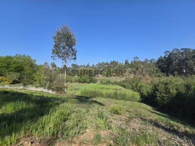 Pequena quinta com viabilidade de Construção Águeda