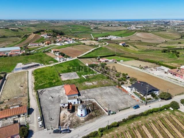 Pequena Quinta em Ventosa, Torres Vedras