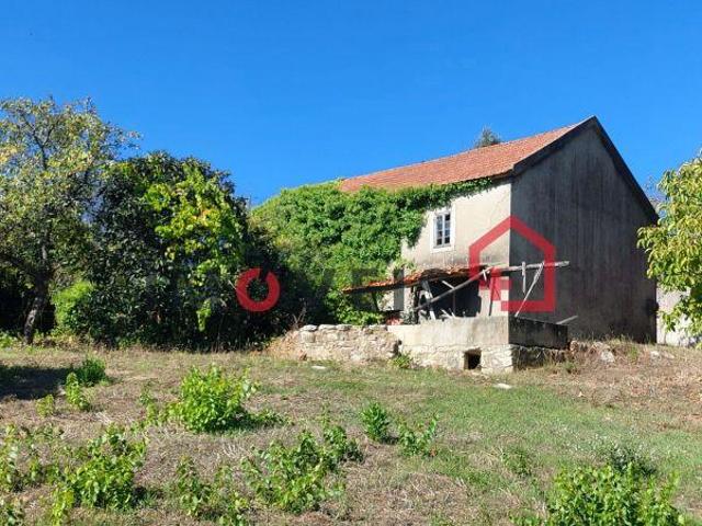 Pequena quintinha em zona tranquila! | 26084023116