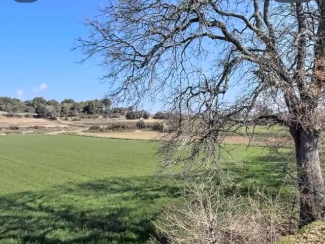 Pertuis Vente Terrain 84