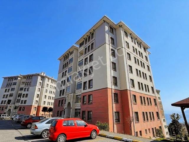 Perşembe Çınar Toki Sitesi 3+1 Satılık Deniz Manzaralı Daire