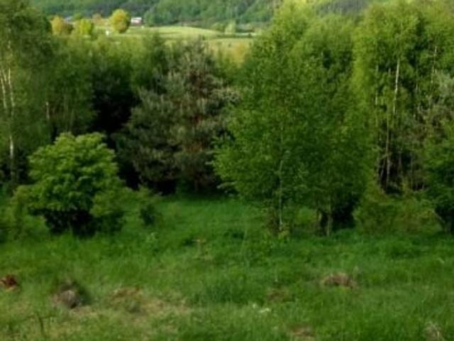Perłowa 12 618 m², Stara Huta