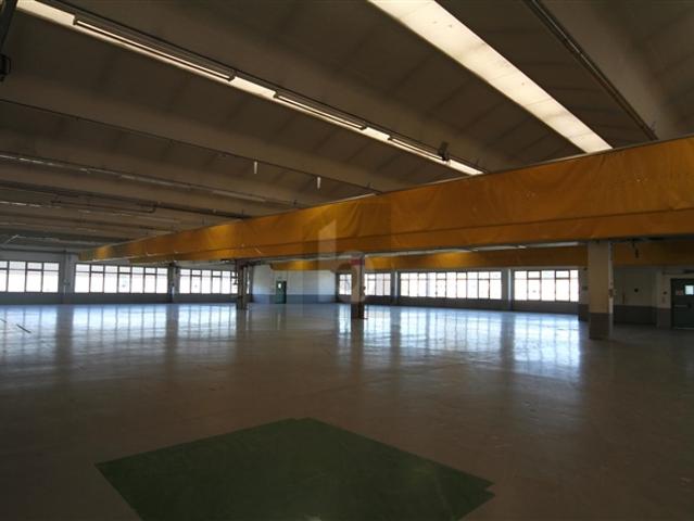 PER USO INDUSTRIALE CON MONTACARICHI