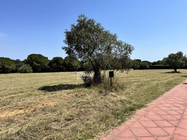 Peralada Golf | Exclusiva parcela de 2.512 m² en primera línea de golf