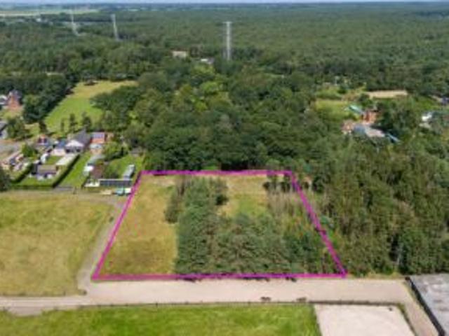 Perceel bosgrond van 5.416 m² te Berendrecht