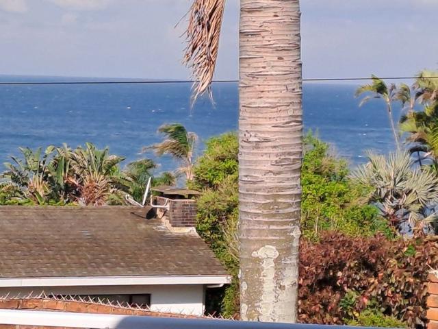 Perfect Family Home. Buy me now