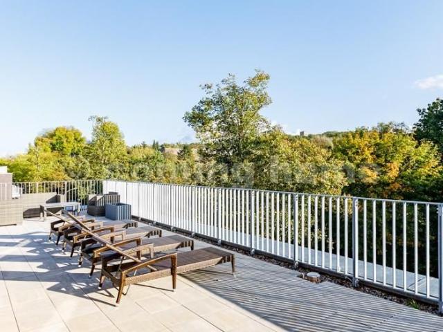 Perfect Single Living