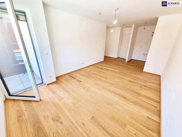 Perfekte Kleinwohnung mit Loggia! Energieeffizienz durch Photovoltaikanlage und Wärmepumpe! Ruhige Seitengasse + Faires Preis Leistungs Verhältnis + Perfekte Anbindung und Nahversorgung!